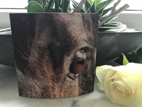 Geschenkgutschein 20,-€